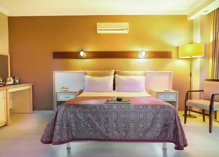 Hotel Agiros Termal&spa Dereciflik